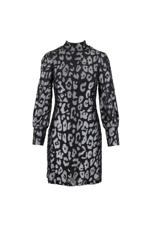 Leo short dress silver