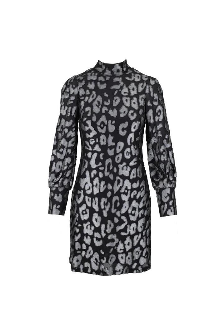 Leo short dress silver
