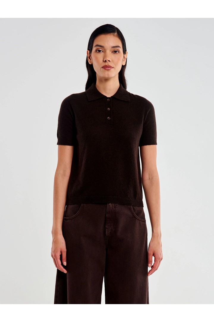 Cashmere Blend Knit Polo Brown